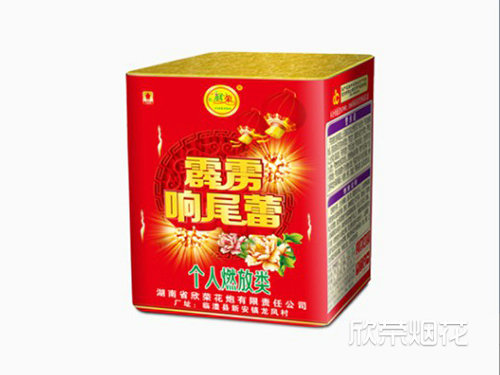 24发霹雳响尾蕾