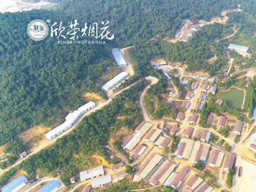 临澧组合烟花,临澧儿童玩具类烟花,临澧城市烟花,湖南省欣荣烟花有限责任公司 临澧组合烟花,临澧儿童玩具类烟花,临澧城市烟花,湖南省欣荣烟花有限责任公司