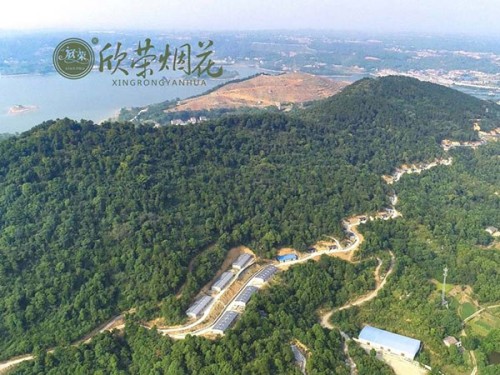 临澧组合烟花,临澧儿童玩具类烟花,临澧城市烟花,湖南省欣荣烟花有限责任公司